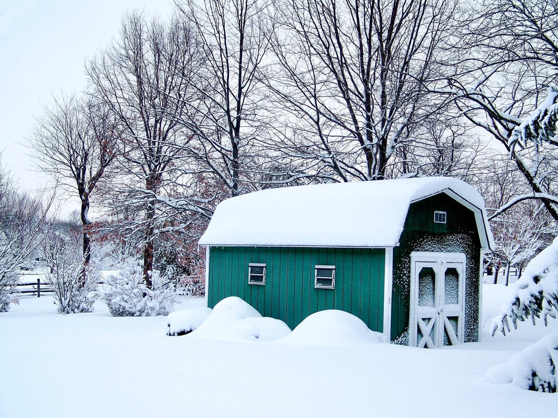 How to Winterize Your Shed: 5 Simple Steps - HangThis Up