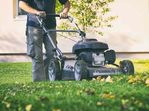 Don't Put Away the Mower Yet: Your Guide to Late-Summer Yard Work